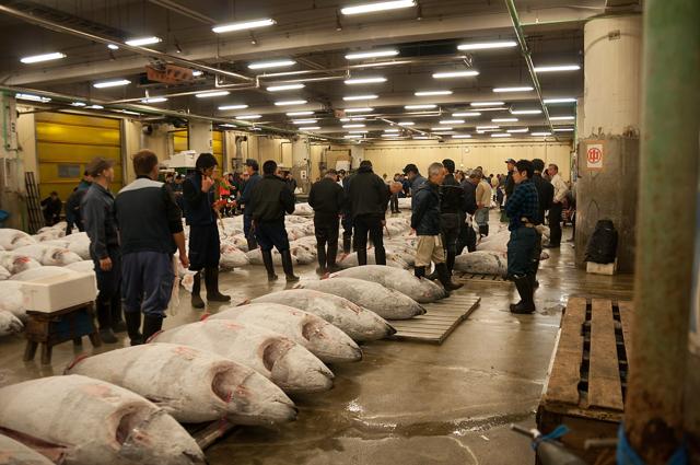 Tsukiji fish market